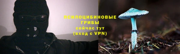 mdma Кукмор