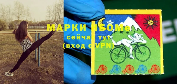 хмурый Кулебаки