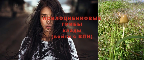 гашик Лабытнанги