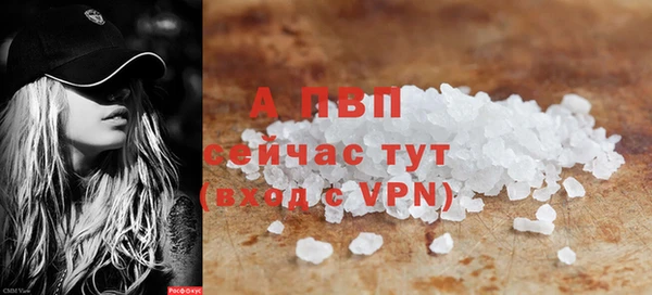гашик Лабытнанги